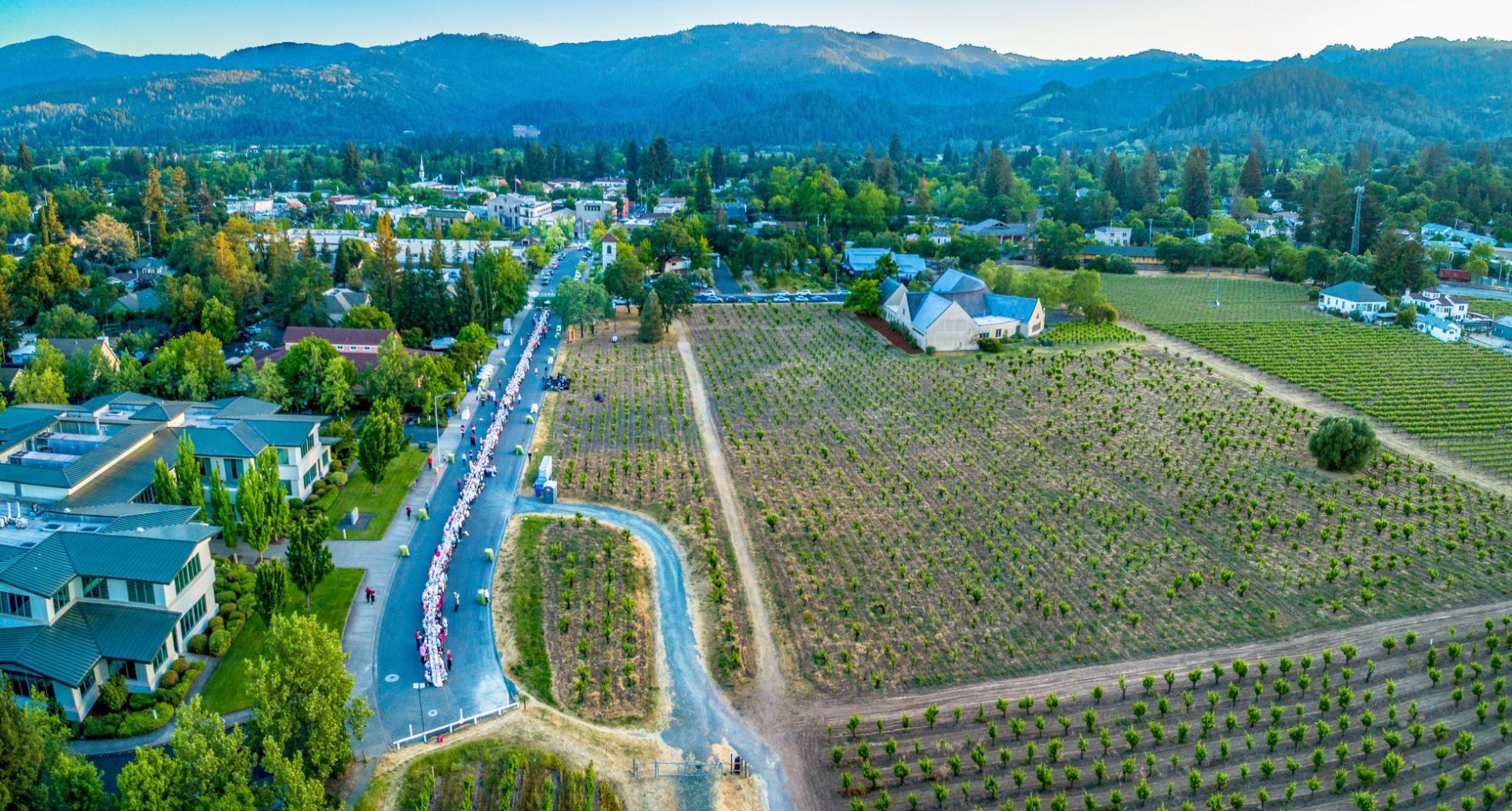 Aerial view of St. Helena's Neighborhood Table
